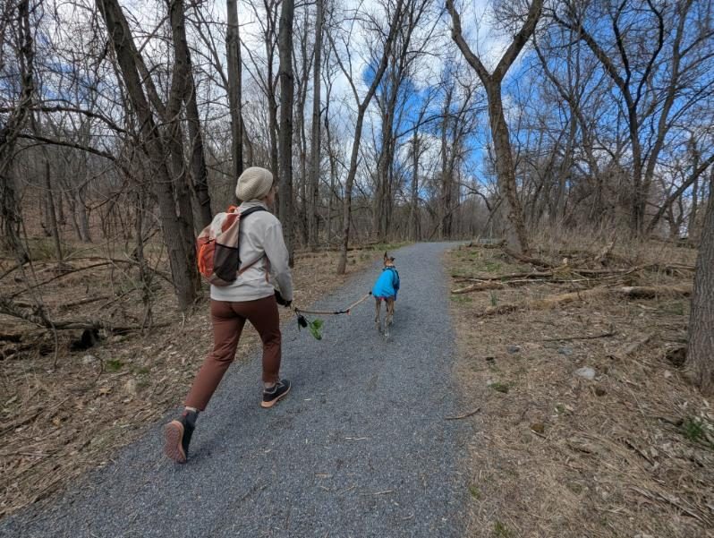 Olivia walking Bambu, who wears a blue coat, on a gravel trail through bare woods.